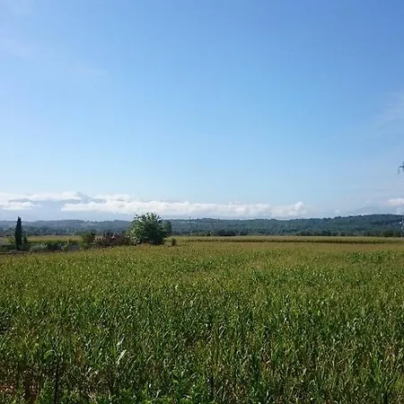 Отель Kyriad Tarbes 2*